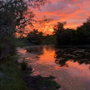 Meet your Posher, Colt